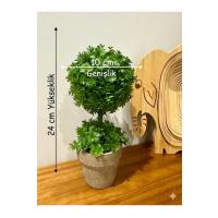 Ev ve Ofis Hediyesi Dekoratif Yapay Şimşir Ağacı - Saksılı 10x24 cm