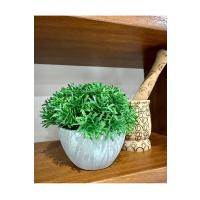 Yapay Scleranthus (Minder Çiçeği) Antrasit Saksılı Premium Dekoratif Bitki ?