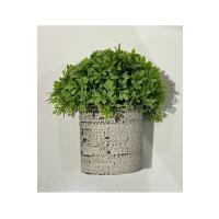 Dekoratif Yapay Bitki Seti - Saksıda Gerçekçi Yeşillik - 17 cm