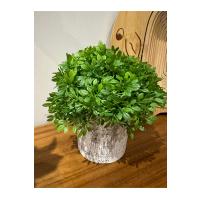 Masanızın Yeni Favorisi: Dekoratif Minimalist Yeşil - Gerçekçi Yeşil Yapay Çiçek