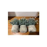 3’lü Dekoratif Yapay Çiçek Seti – Saksıda Mor, Beyaz, Pembe Aranjman