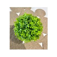 Yapay Şimşir (Boxwood) Çiçeği Antrasit Modern Saksılı Premium Ev Ofis Dekoru ?