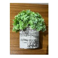 Görünümlü Antrasit Saksıda Lüx Yapay Yeşillik - 17 cm