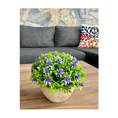 Premium Saksılı Yapay Çiçek Dekoratif Masaüstü Bitkisi 13x16 cm ?