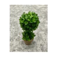 Ev ve Ofis Hediyesi Dekoratif Yapay Şimşir Ağacı - Saksılı 10x24 cm