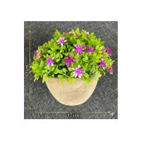 Premium Yapay Çiçek Saksıda Pembe Dekoratif Ev Ofis Bitkisi ?