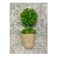 Ev ve Ofis Hediyesi Dekoratif Yapay Şimşir Ağacı - Saksılı 10x24 cm