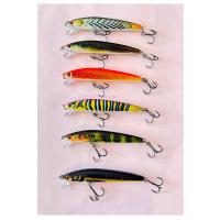6'lı Süper Set: 9.6cm 9.8gr Sığ Su Avcısı Rapala