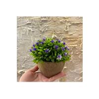 Safir Moru Detaylı Modern Yapay Bitki Tasarımı (13 cm x 17 cm)