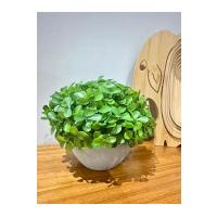 Modern Gri Saksılı Yapay Yeşil Bitki - Yaşam Alanınıza Doğal Dokunuş (13x17 cm)
