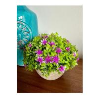 12'li Karışık Renk Yapay Çiçek Seti - Ev, Ofis, Kafe ve Restoran Dekorasyonu İçin