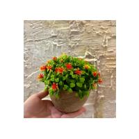 Modern Turuncu Bahar Esintisi Yapay Aranjman (13 cm x 17 cm)