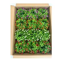 12'li Saksılı Yapay Çiçek ve Bitki Seti - Cafe Restoran Masa Üstü Dekor