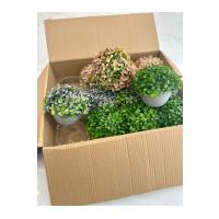 12'li Saksılı Yapay Şimşir Top Seti - Cafe Restoran Masa Üstü Dekor Çiçeği