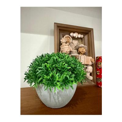 Yapay Scleranthus (Minder Çiçeği) Antrasit Saksılı Premium Dekoratif Bitki ?