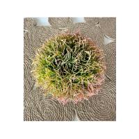 Premium Yapay Saksılı Çim Bitki - Dekoratif Ev Ofis Aksesuarı 13x16 cm ✨