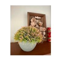 Premium Yapay Saksılı Çim Bitki - Dekoratif Ev Ofis Aksesuarı 13x16 cm ✨