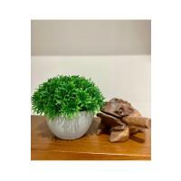 Yapay Scleranthus (Minder Çiçeği) Antrasit Saksılı Premium Dekoratif Bitki ?