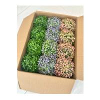 12'li Saksılı Yapay Şimşir Top Seti - Cafe Restoran Masa Üstü Dekor Çiçeği