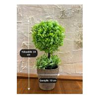 Zümrüt Yeşili İkili Topiary Aranjman (24 cm x 10 cm)