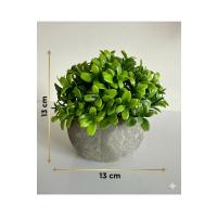 Yapay Şimşir (Boxwood) Çiçeği Premium Antrasit Saksılı Ofis Ev Dekorasyonu ?