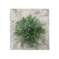 Saksılı Yapay Dağ Kekiği - Doğal Görünümlü Dekoratif Saksı Bitkisi - 18x13 cm