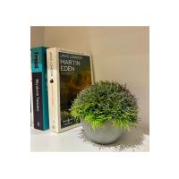 12'li Karışık Renk Yapay Şimşir Top Seti - Cafe, Restoran ve Ev İçin Masa ve Saksılı Yapay Çiçek