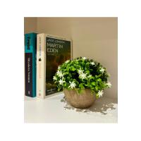 Naturel Görünümlü Saksılı Beyaz Çiçekli Dekoratif Bitki (13x17 cm)