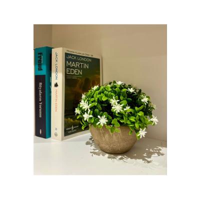 Naturel Görünümlü Saksılı Beyaz Çiçekli Dekoratif Bitki (13x17 cm)