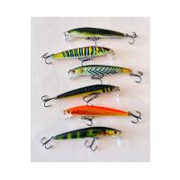 6'lı Süper Set: 9.6cm 9.8gr Sığ Su Avcısı Rapala