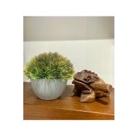 Yapay Scleranthus (Minder Çiçeği) Kızıl Yeşil Antrasit Saksılı Premium Dekor ?