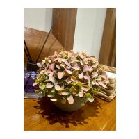 Modern Gri Saksıda Gerçekçi Yapay Dekoratif Bitki – 17 x13 cm – Ev ve Ofis Dekoru