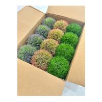 12'li Karışık Renk Yapay Şimşir Top Seti - Cafe, Restoran ve Ev İçin Masa ve Saksılı Yapay Çiçek