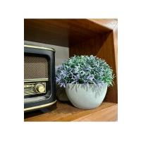 Yapay Grevillea Çiçeği Lila-Yeşil Antrasit Saksılı Premium Ofis Ev Dekorasyonu ?