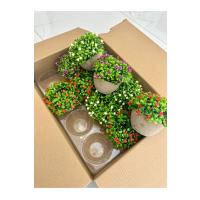 12'li Saksılı Yapay Çiçek ve Bitki Seti - Cafe Restoran Masa Üstü Dekor