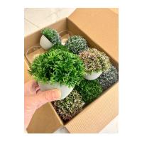 12'li Saksılı Yapay Çiçek Seti - Cafe Restoran ve Ev İçin Renkli Masa Dekoru