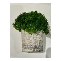 Modern Tasarım: Saksıda Dekoratif Yapay Yeşillik 17 cm