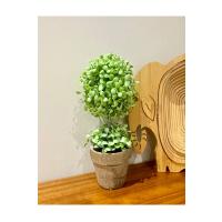 Dekoratif Saksılı Yapay Şimşir - 24 cm - Bakım Gerektirmeyen Taze & Yeşil Ev Ofis Dekoru