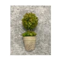 Premium Yapay Sukulent / Canlı Görünümlü Dekoratif Bitki - Gri Saksılı 13x17 cm