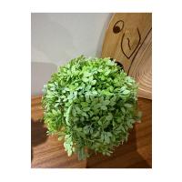 Dekoratif Yapay Bitki Seti - Saksıda Gerçekçi Yeşillik - 17 cm