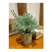 Saksılı Yapay Dağ Kekiği - Doğal Görünümlü Dekoratif Saksı Bitkisi - 18x13 cm