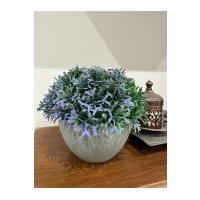 Yapay Grevillea Çiçeği Lila-Yeşil Antrasit Saksılı Premium Ofis Ev Dekorasyonu ?