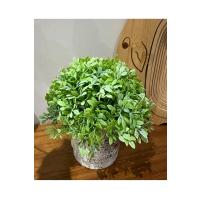 Dekoratif Yapay Bitki Seti - Saksıda Gerçekçi Yeşillik - 17 cm