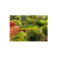 5'li Long Cast Maket Balık Seti - 10cm 29gr - Uzun Mesafe Atış ve Sırtı Yemi