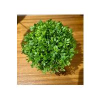 Masanızın Yeni Favorisi: Dekoratif Minimalist Yeşil - Gerçekçi Yeşil Yapay Çiçek