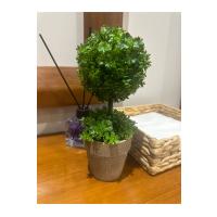 Ev ve Ofis Hediyesi Dekoratif Yapay Şimşir Ağacı - Saksılı 10x24 cm