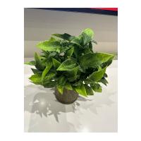 Dekoratif Eskitme Gri Saksıda Gerçekçi Yapay Yeşil Bitki - Modern Masa ve Raf Çiçeği (24x18 cm)