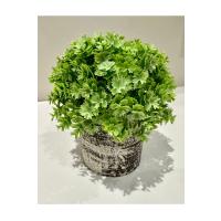 Görünümlü Antrasit Saksıda Lüx Yapay Yeşillik - 17 cm