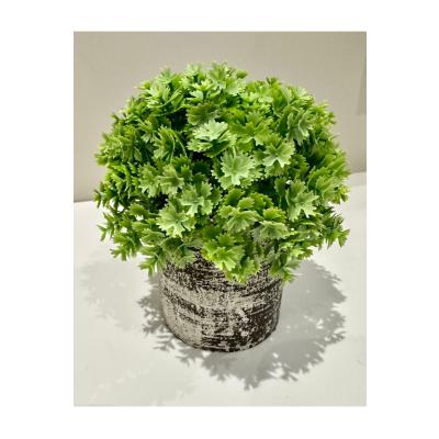 Görünümlü Antrasit Saksıda Lüx Yapay Yeşillik - 17 cm