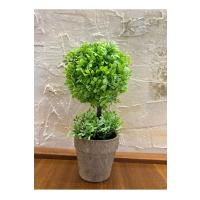 Zümrüt Yeşili İkili Topiary Aranjman (24 cm x 10 cm)